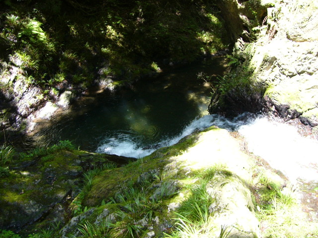 img0004.jpg