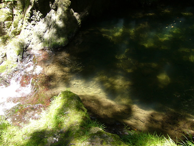 img0005.jpg