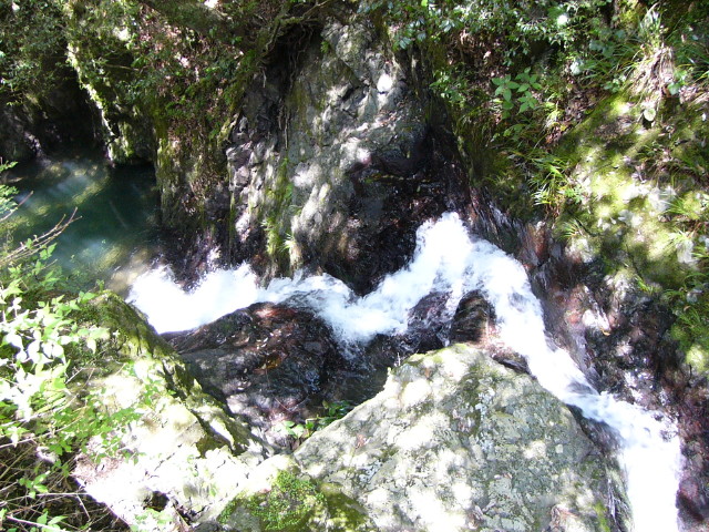 img0006.jpg