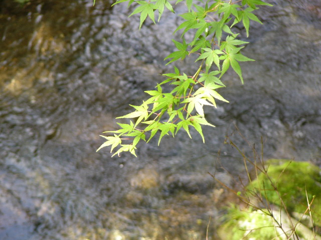 img0008.jpg