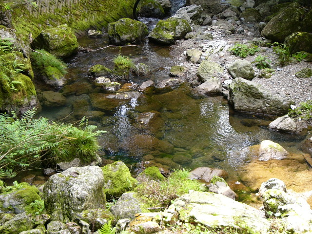 img0009.jpg