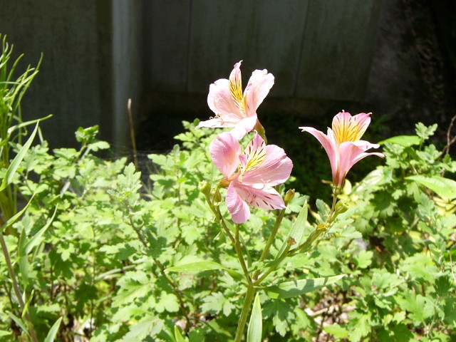 img0014.jpg