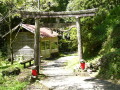 img0001.jpg
