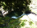 img0004.jpg