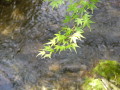img0008.jpg
