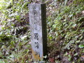 img0010.jpg