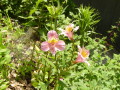 img0015.jpg