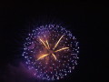 img0009.jpg