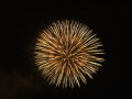 img0010.jpg