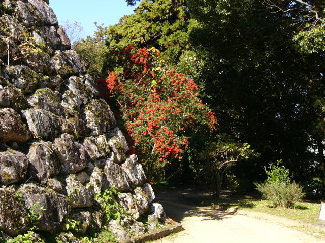 img0007.jpg
