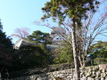 img0003.jpg