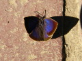 img0006.jpg