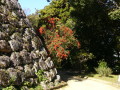 img0007.jpg