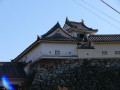 img0008.jpg