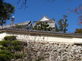 img0011.jpg