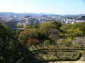 img0014.jpg