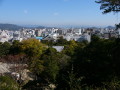 img0015.jpg