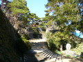 img0017.jpg