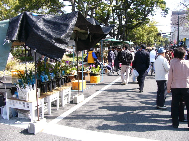 img0001.jpg