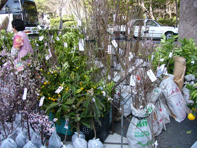 img0003.jpg