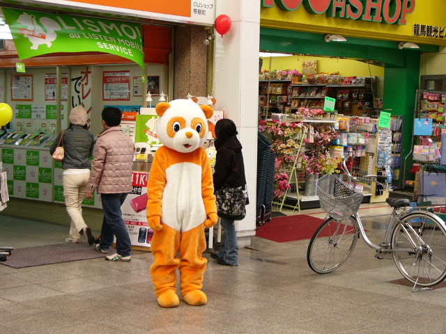 img0029.jpg
