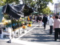 img0001.jpg
