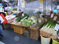 img0005.jpg