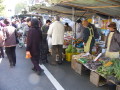 img0006.jpg