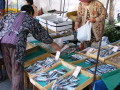 img0009.jpg