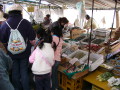 img0011.jpg