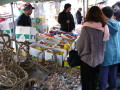 img0013.jpg