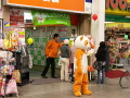 img0028.jpg