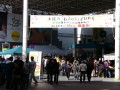 img0031.jpg