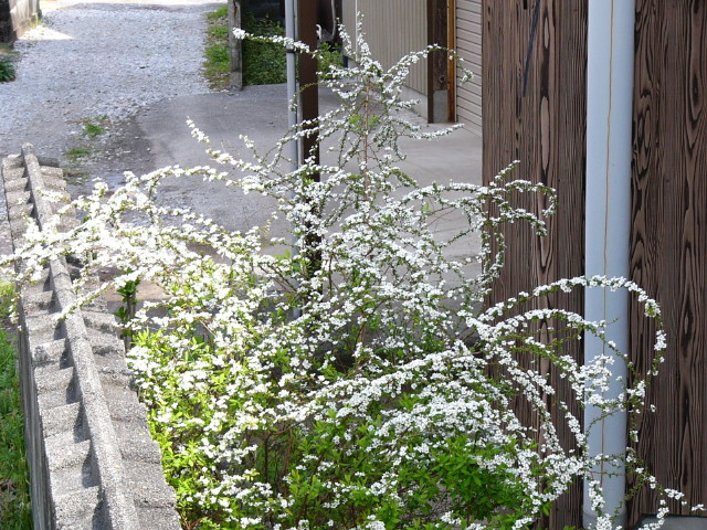img0005.jpg