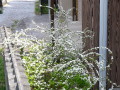 img0005.jpg