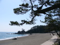 img0003.jpg