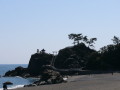 img0005.jpg