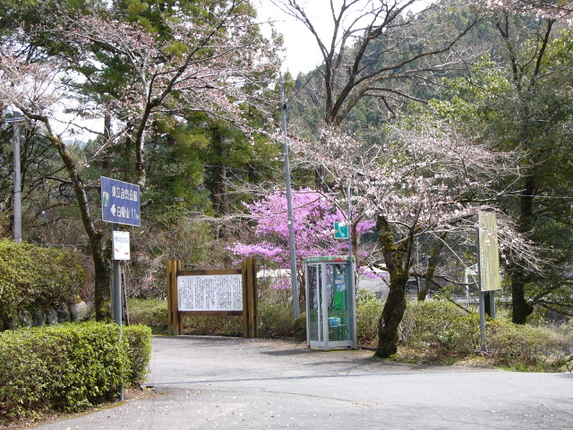 img0004.jpg
