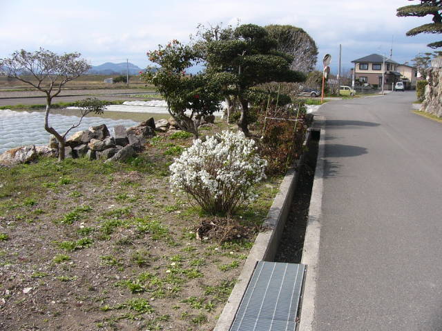 img0019.jpg