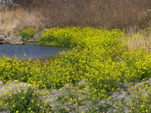 img0022.jpg