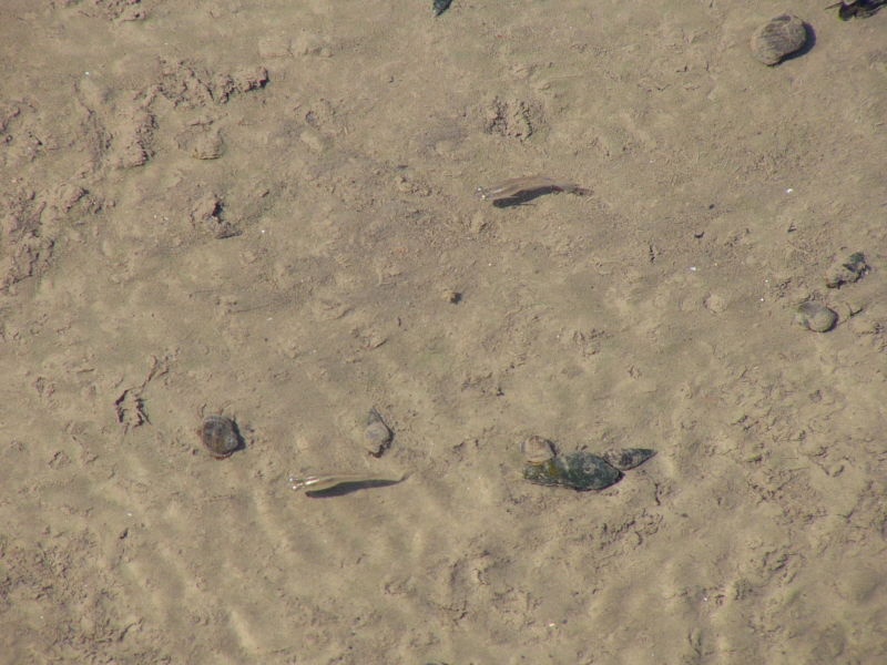 img0013.jpg